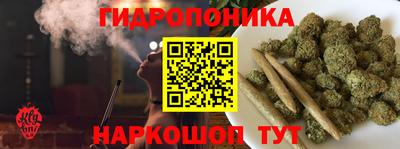 шишки Канаш