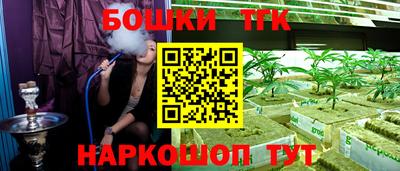 шишки Канаш