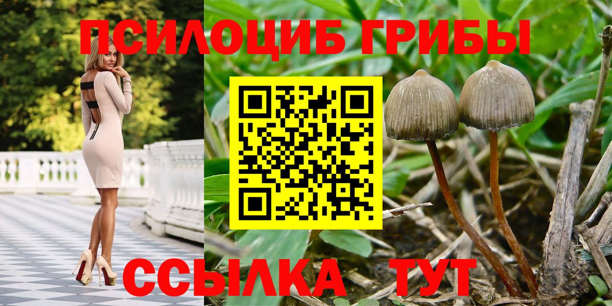 Псилоцибиновые грибы прущие грибы Лесозаводск
