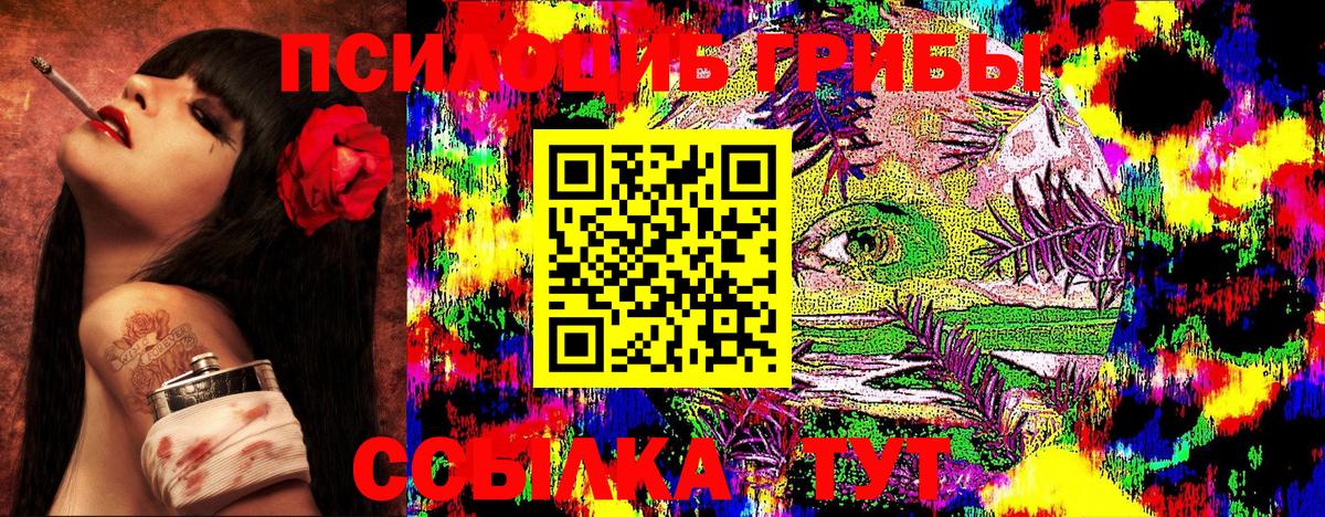 Псилоцибиновые грибы Psilocybe  Галлюциногенные грибы Psilocybe  Вход с VPN  Лесозаводск 